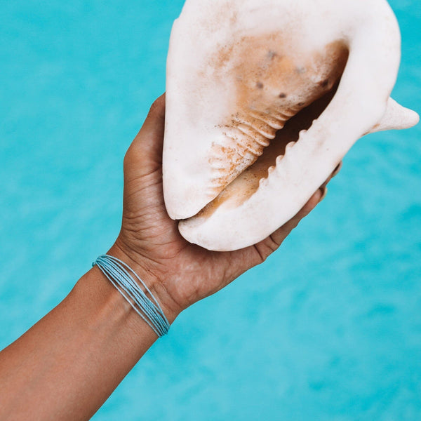 Pura Vida Solid Original