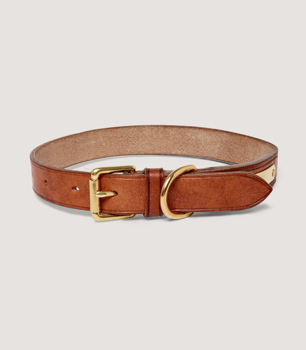 purdey Bridle Leather Dog Collar In Brown