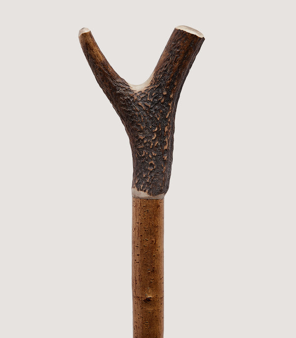 purdey Staghorn Thumbstick In Natural