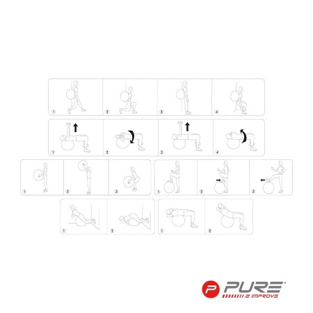 Pure 2improve Gym Exercise Ball