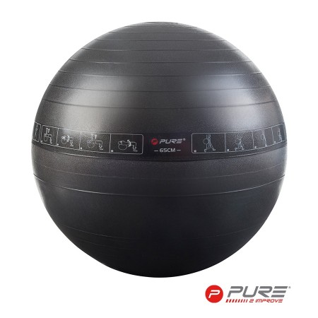 pure 2improve Gym Exercise Ball