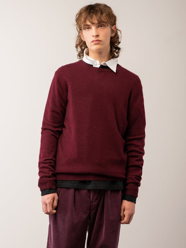 Pure Cashmere Nyc Men Crew Neck Sweater_Burgundy