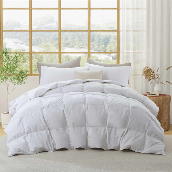 Puredown All Season Organic Cotton Comforter And Blanket Bundle