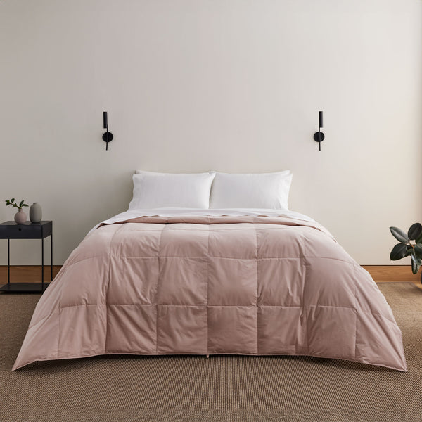 Puredown All Season Organic Cotton Down Comforter & Pillow Bundle