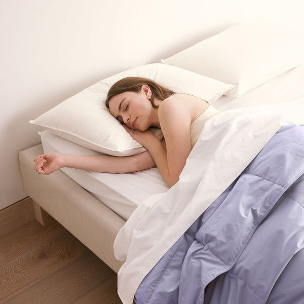 Puredown Lightweight Organic Cotton Down Comforter & Pillow Bundle