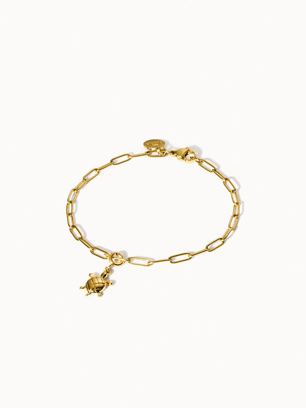 Purelei Flex Schildkröten Charm Charms U0026 Anhänger