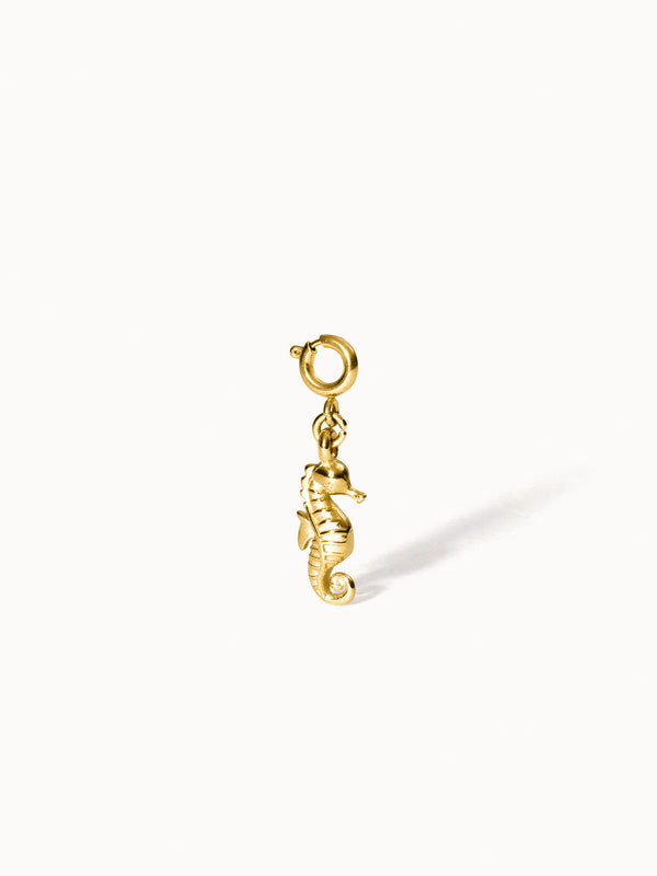purelei Flex Seepferdchen Charm Charms u0026 Anhänger