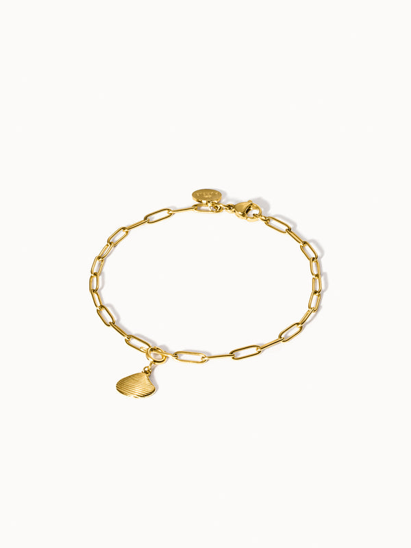 Purelei Flex Venusmuschel Charm Charms U0026 Anhänger