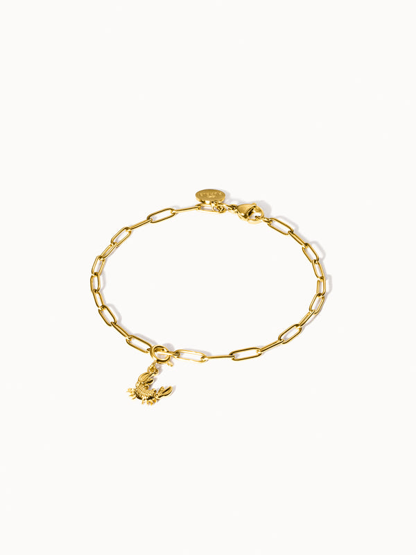 Purelei Flex Krabben Charm Charms U0026 Anhänger