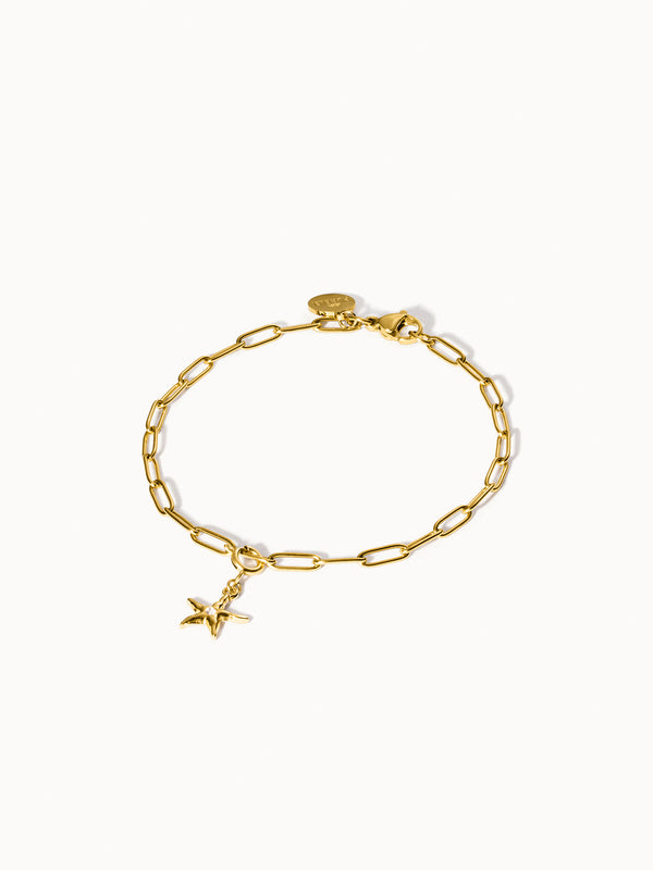 Purelei Flex Seestern Charm Charms U0026 Anhänger