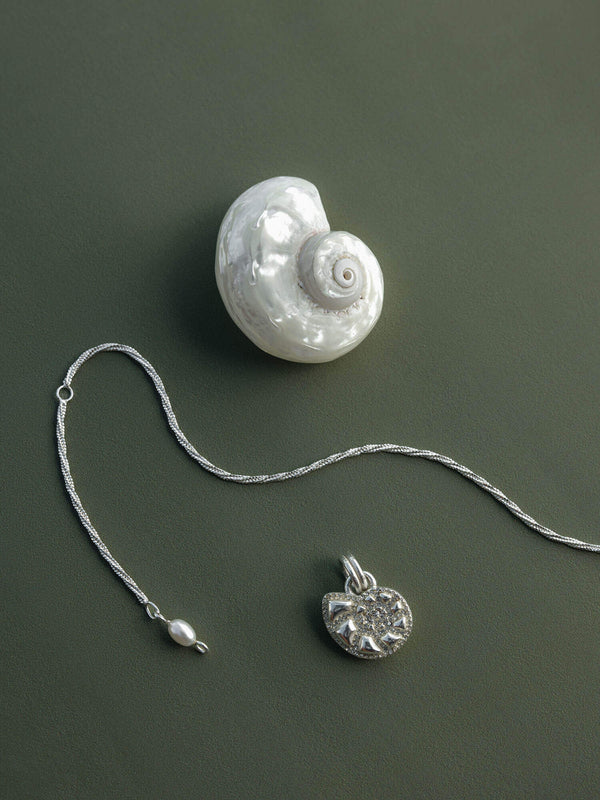 Purelei Nautilus Shell Charm Charms U0026 Anhänger