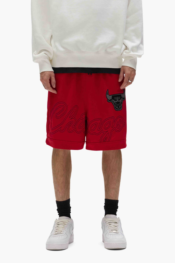 purple brand Chicago Bulls Mesh Shorts Red