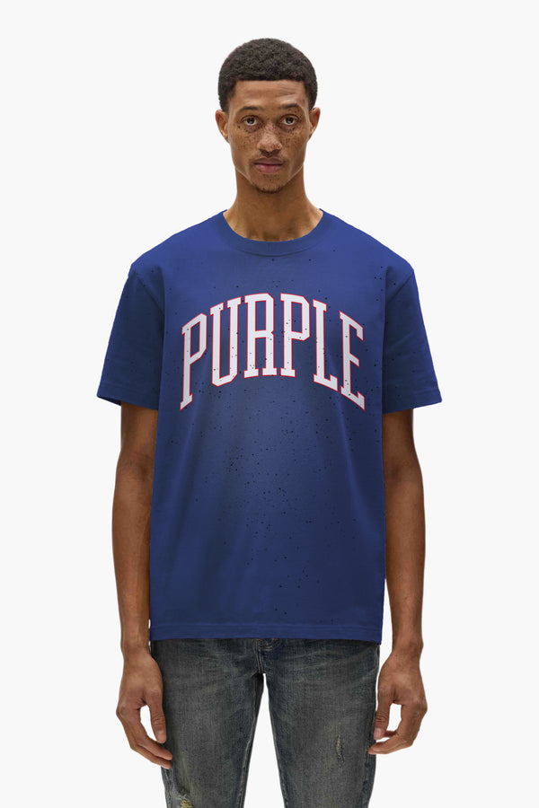 purple brand Collegiate Arc Tee Blue