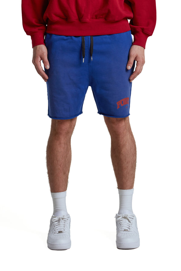 purple brand Slab Wordmark Short Blue