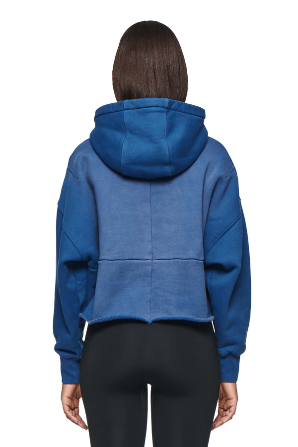 Purple Brand Wordmark Hoodie Blue