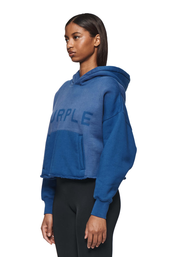 Purple Brand Wordmark Hoodie Blue