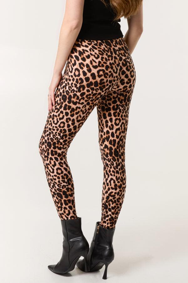 Qed London Curve Soft Touch Leopard Print Leggings