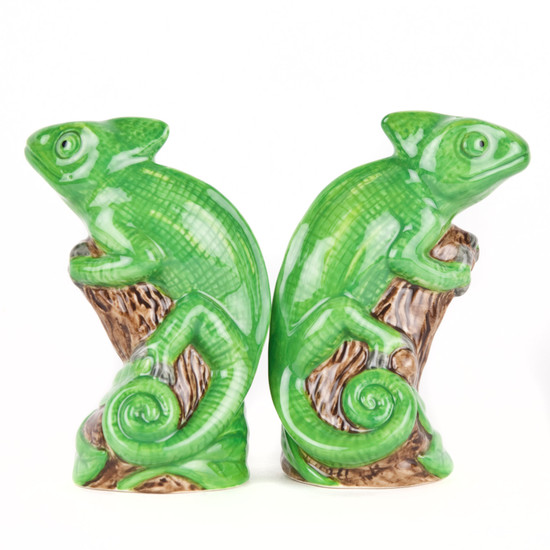 Quail Ceramics Chameleon Salt And Pepper