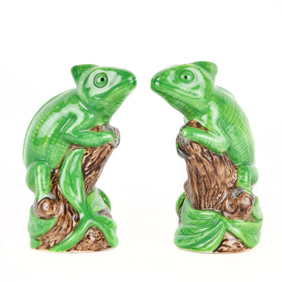 quail ceramics Chameleon Salt and Pepper