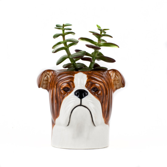 quail ceramics English Bulldog Pencil Pot