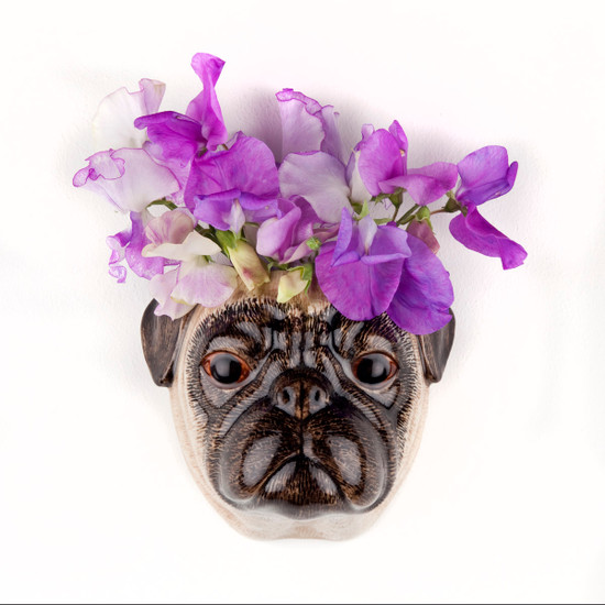 Quail Ceramics Fawn Pug Wall Vase Small