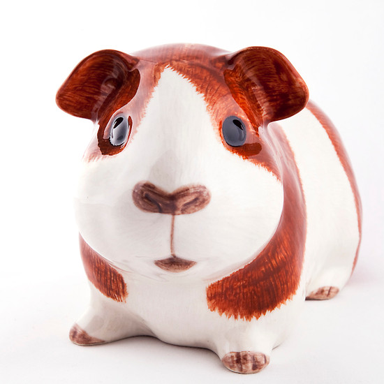 Quail Ceramics Guinea Pig Money Box Dutch
