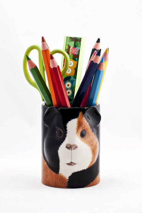 quail ceramics Guinea Pig Pencil Pot multi