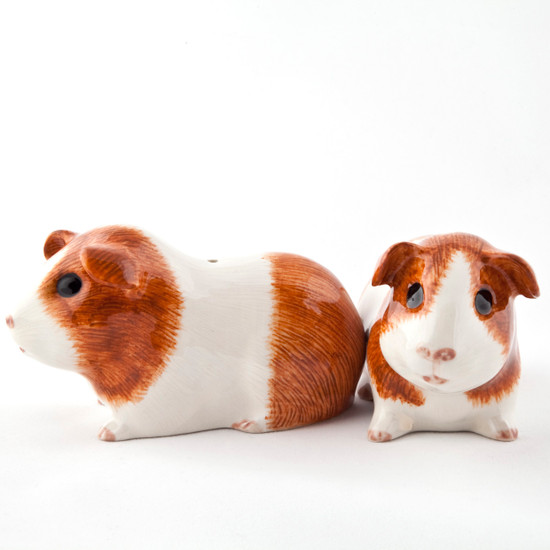 Quail Ceramics Guinea Pig Salt And Pepper Dutch