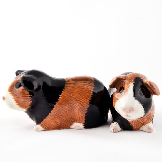 quail ceramics Guinea Pig Salt and Pepper Multi