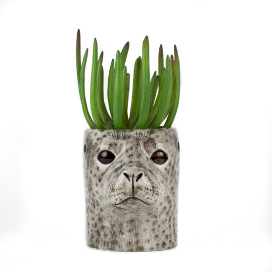 quail ceramics Harbour Seal Pencil Pot