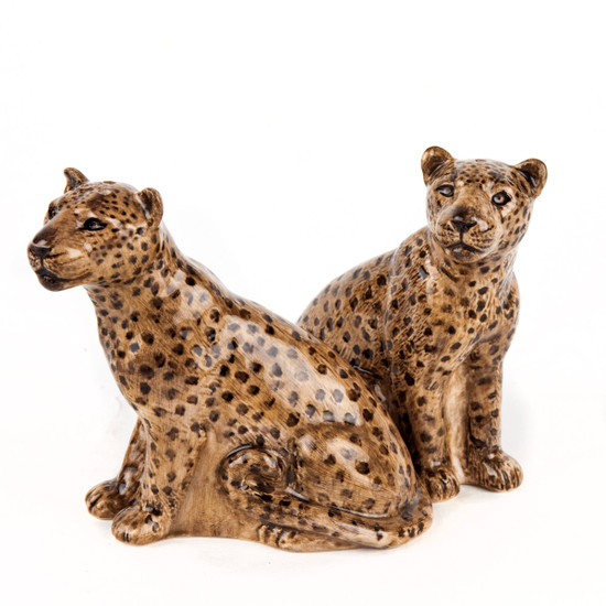Quail Ceramics Leopard Salt And Pepper