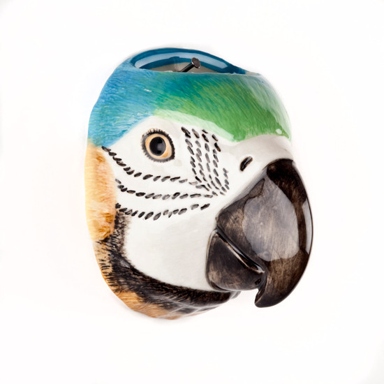 Quail Ceramics Macaw Wall Vase Small