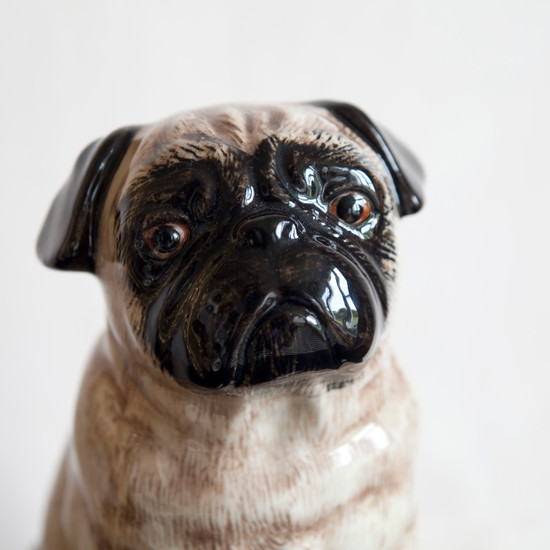 Quail Ceramics Pug Money Box Fawn