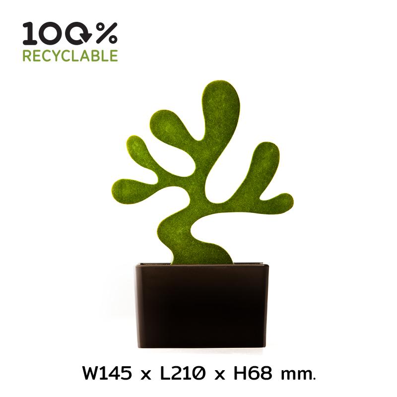 Qualy Bonsai-Accessories Tree