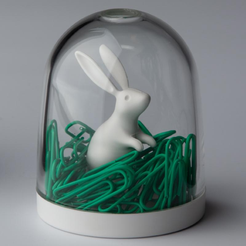 Qualy Bunny In The Field