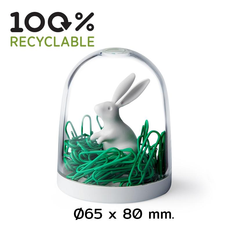 Qualy Bunny In The Field