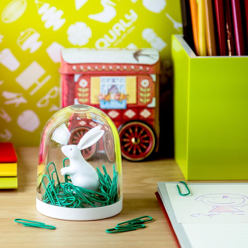 qualy Bunny in the field