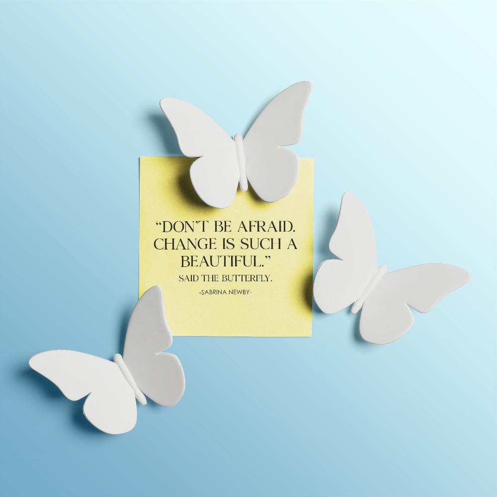qualy Butterfly Magnet 3pcs/set (White Color)