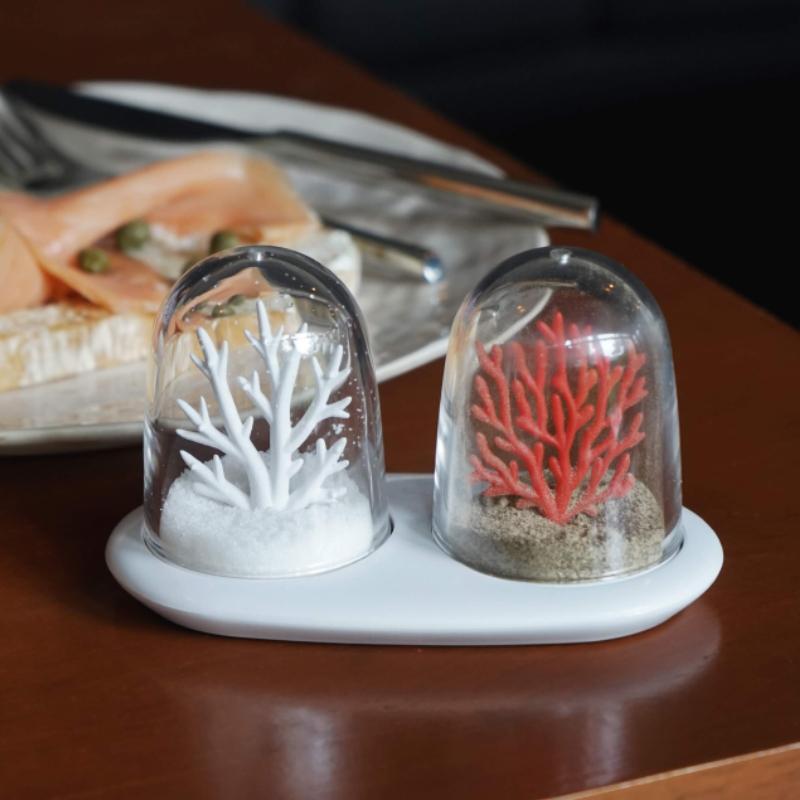 qualy Coral Bleaching