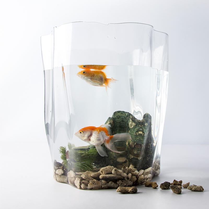 Qualy Crystal Flow Bin