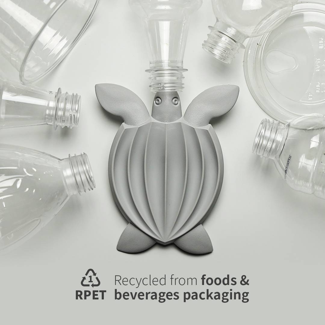 Qualy Leatherback Turtle Coaster