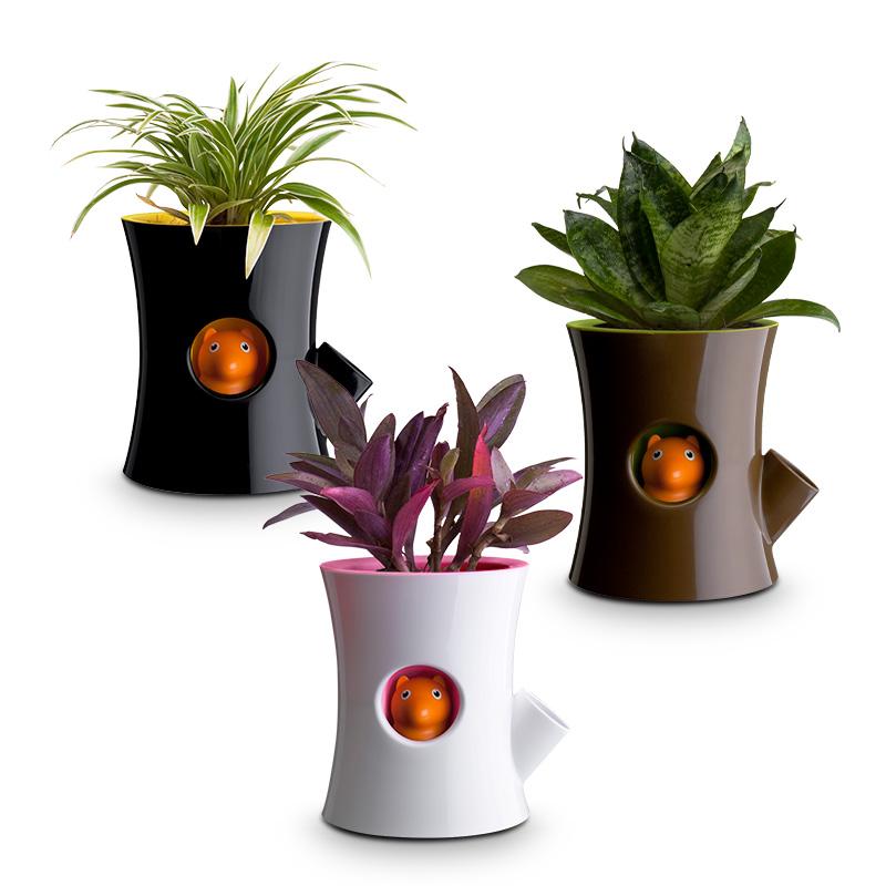 Qualy Log & Squirrel (Plant Pot)