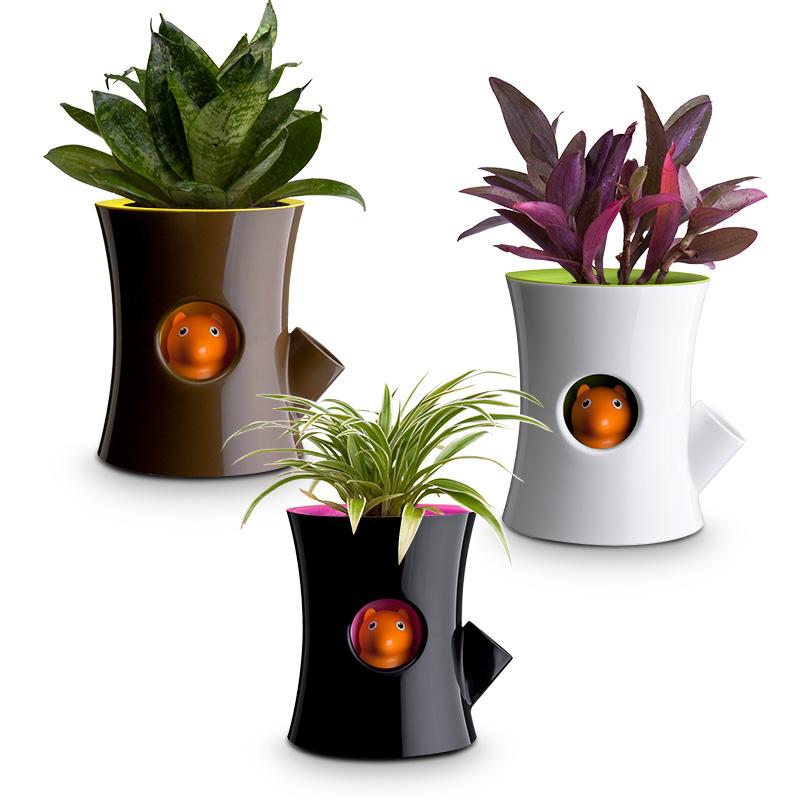 Qualy Log & Squirrel (Plant Pot)