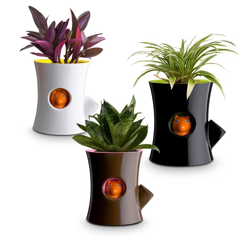 qualy Log & Squirrel (Plant Pot)