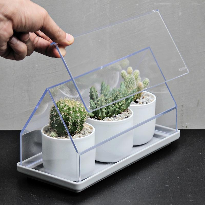 Qualy Micro Greenhouse