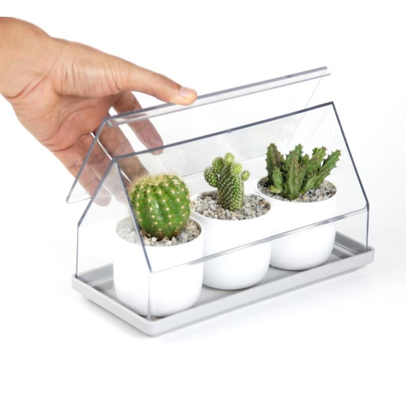 Qualy Micro Greenhouse