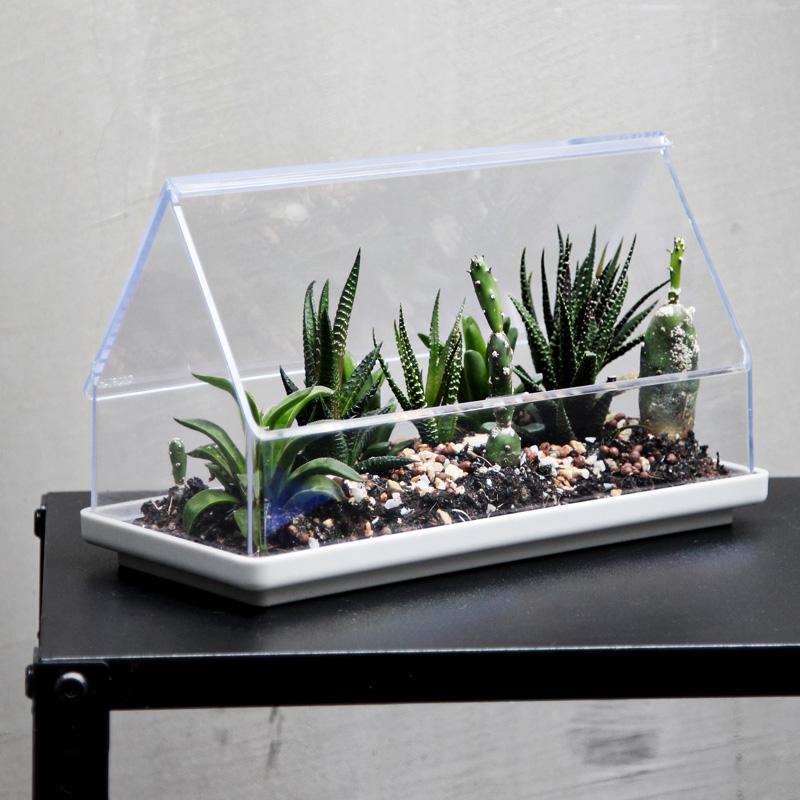 qualy Micro Greenhouse