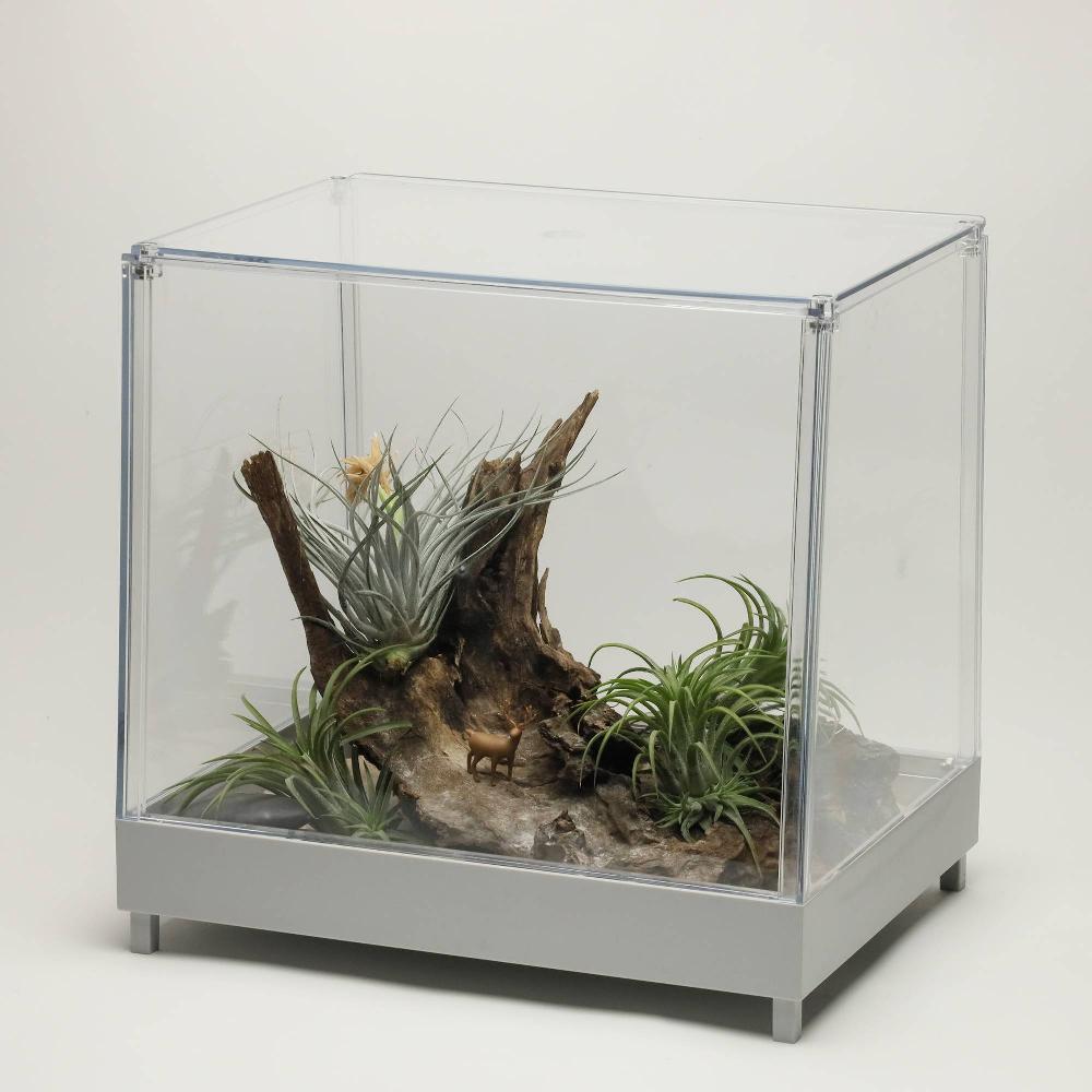 Qualy Mini Greenhouse