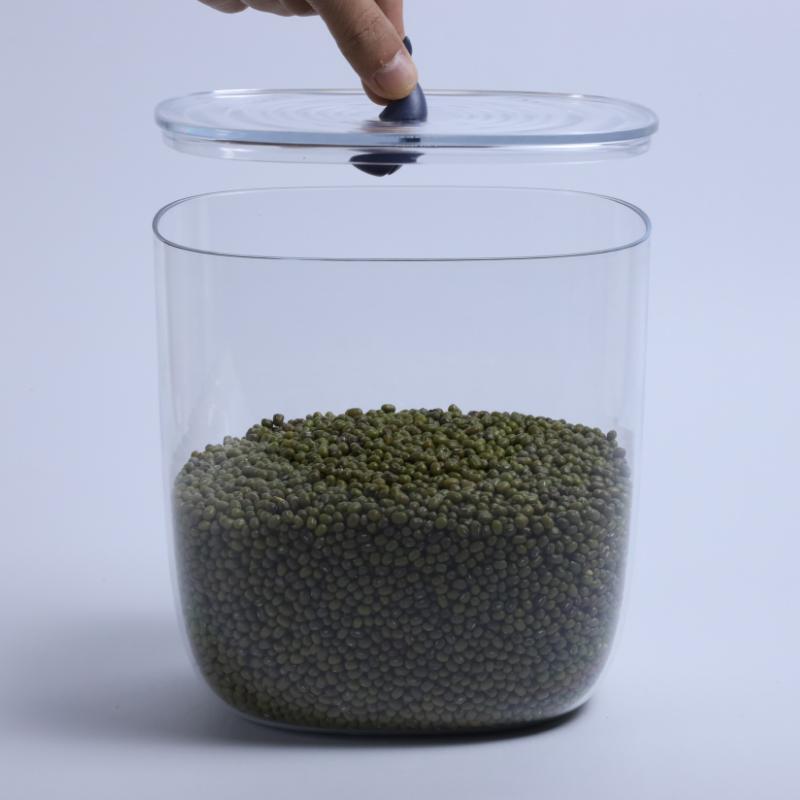 Qualy Moby Whale Ocean Container 3.5 L