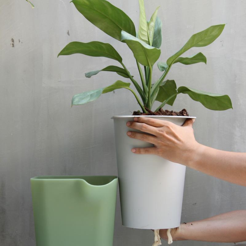 Qualy Oasis Square Pot